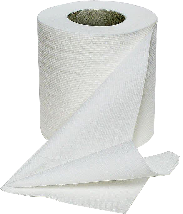 衛生紙 日常生活中的衛生用品